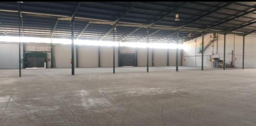 Nave industrial en alquiler en Alcantarilla, Poligono indus. oeste photo 0