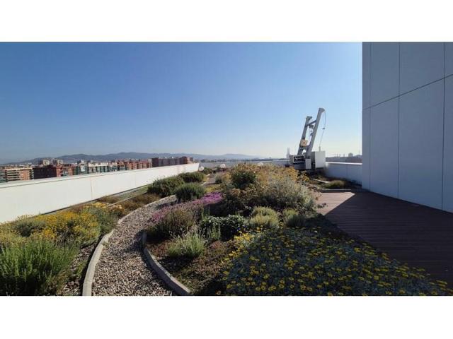 Oficina en alquiler en Barcelona photo 0