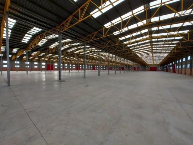 Nave industrial en alquiler en El Palmar, El palmar photo 0