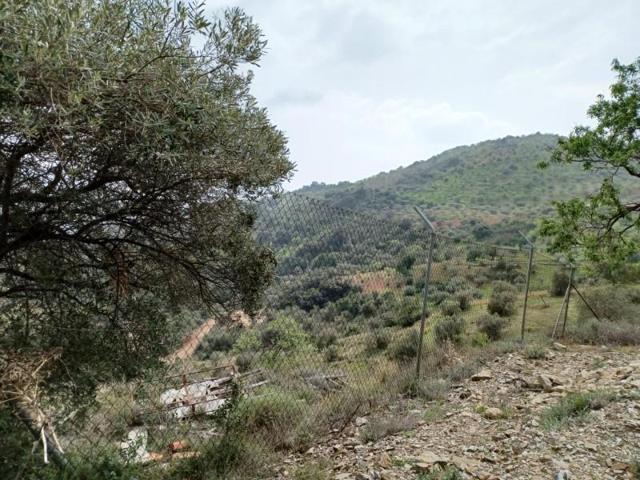 Terreno en alquiler en Málaga, Olías photo 0