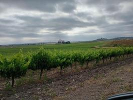 Terreno en alquiler en Bienvenida, Calzadilla de los Barros photo 0