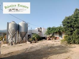 Nave industrial en alquiler en Burgo photo 0