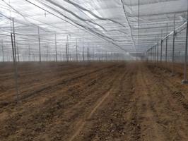 Terreno en alquiler en Darro, Afueras photo 0