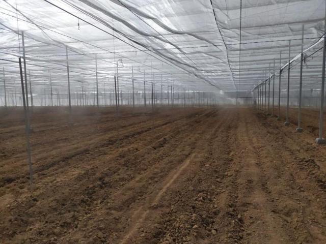 Terreno en alquiler en Darro, Afueras photo 0