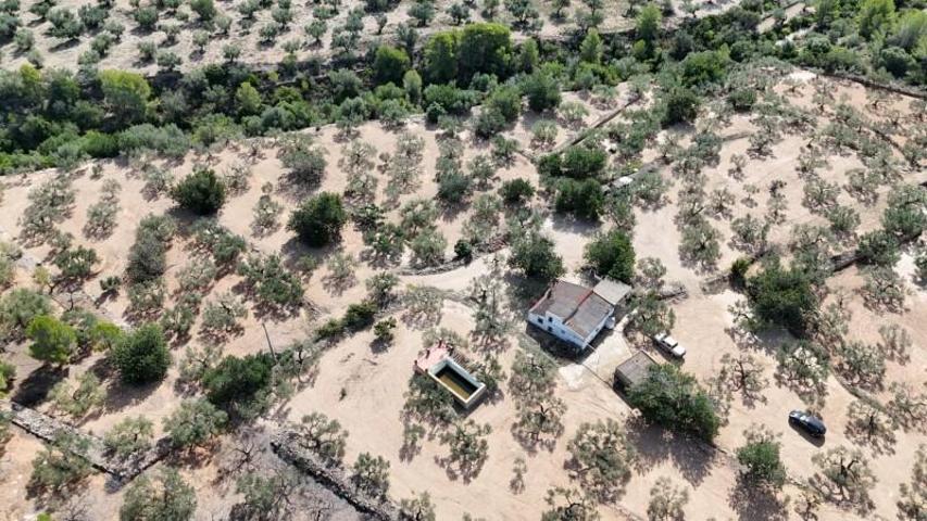 Chalet en venta en Camarles, Afueras del pueblo photo 0