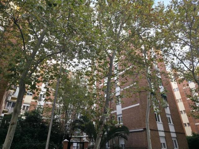 Piso en venta en Madrid, Tetuán photo 0