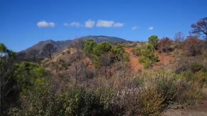 Terreno en venta en Estepona, Forest Hills photo 0