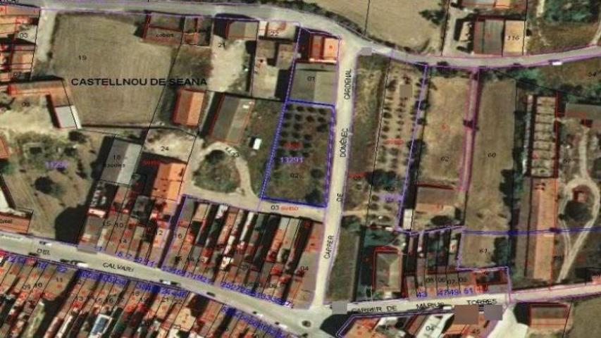 Terreno en venta en Castellnou de Seana, Cataluna photo 0