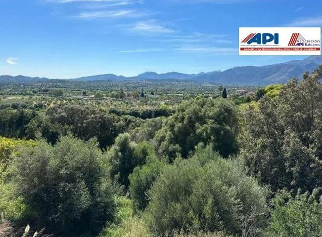 Terreno en venta en Campanet, Campanet photo 0