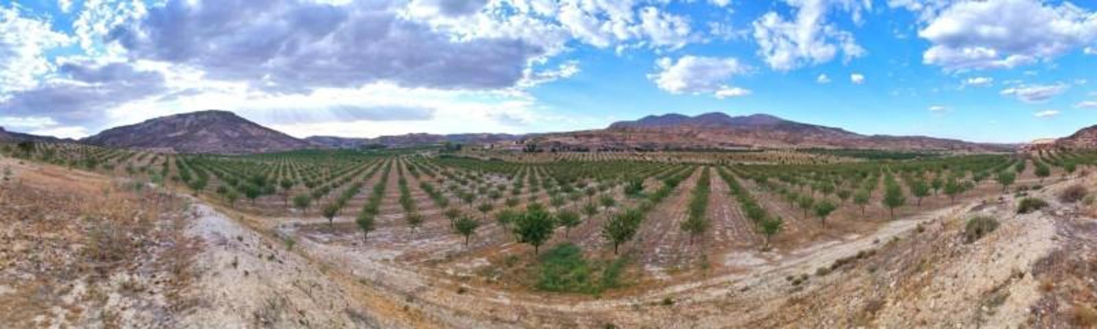 Terreno en venta en Fonelas, Fonelas photo 0