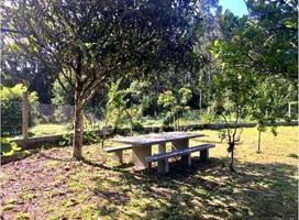 Terreno en venta en Gondomar, Vacarias photo 0