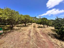 Terreno en venta en Teror photo 0