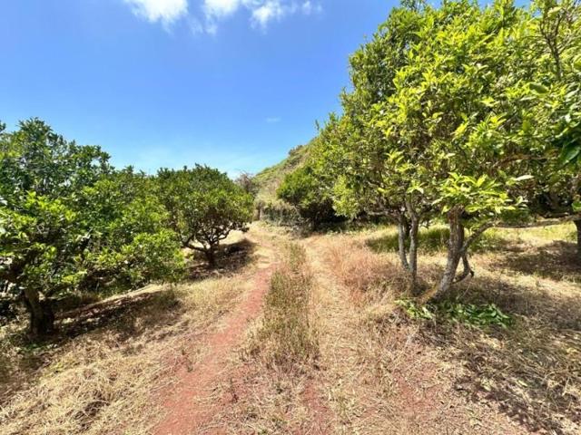 Terreno en venta en Teror photo 0