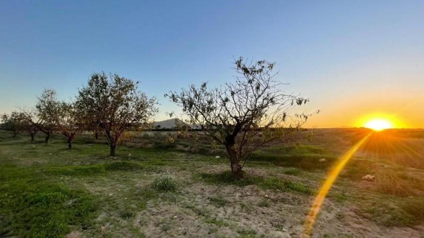 Terreno en venta en Fuente Álamo de Murcia, Campillo de arriba photo 0