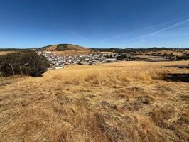 Terreno en venta en Almadén de la Plata, Almadén de la Plata photo 0