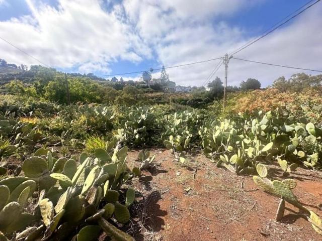 Terreno en venta en Teror photo 0