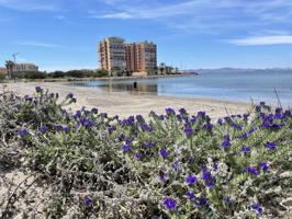 Apartamento en venta en La Manga del Mar Menor, CL POLIGONO G - MA, 1407, 30380 photo 0