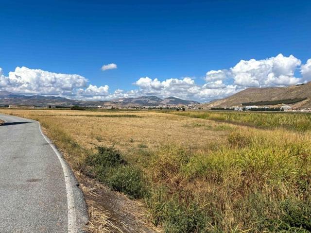 Terreno en venta en Pinos Puente, Vega de granada zona noroeste photo 0