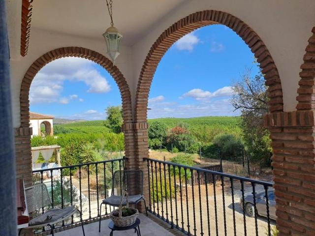 Casa en venta en Cantillana, Andalucia photo 0