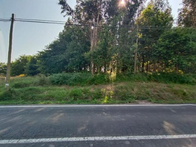 Terreno en venta en Ribadumia, Salnés photo 0