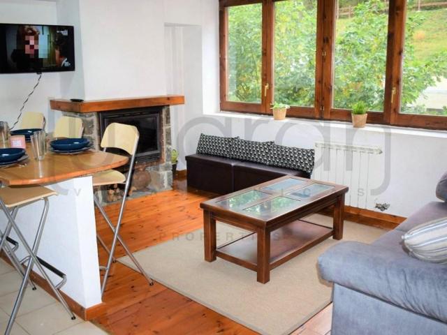 Apartamento en alquiler en Vielha e Mijaran photo 0