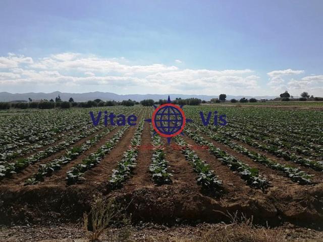 Chalet en venta en Lorca, Campillo photo 0