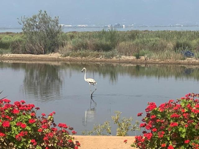 Chalet en venta en Amposta, Eucaliptus-Poble Nou del Delta photo 0