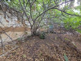 Terreno en venta en Fuente de Piedra, Andalucia photo 0