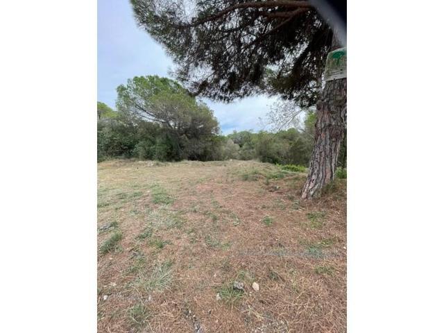 Terreno en venta en Lloret de Mar photo 0