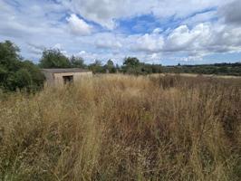 Terreno en venta en Llubí, Llubi photo 0