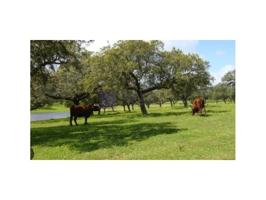 Chalet en venta en Cáceres photo 0