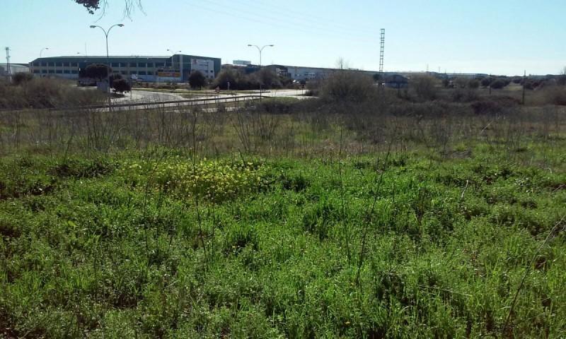 Terreno en venta en Talavera de la Reina, El Casar De Talavera photo 0