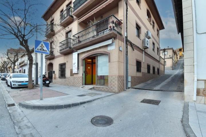 Local comercial en alquiler en Padul, South of spain photo 0