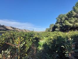 Terreno en venta en Murcia, Algezares photo 0