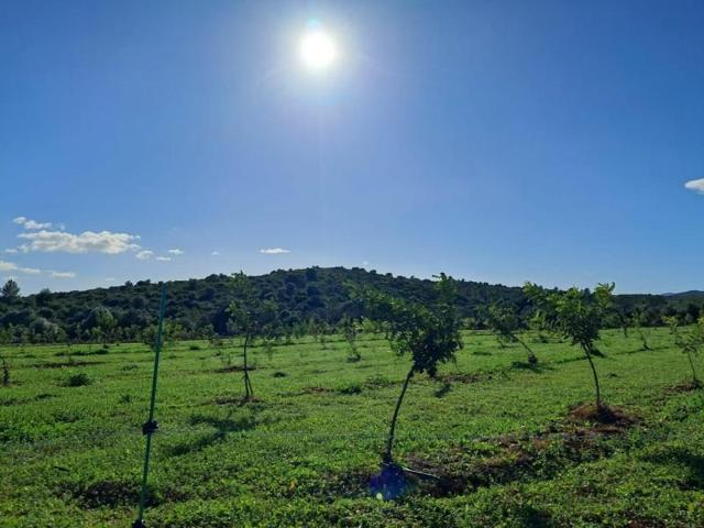 Terreno en venta en Torreblanca, Área de Torreblanca photo 0