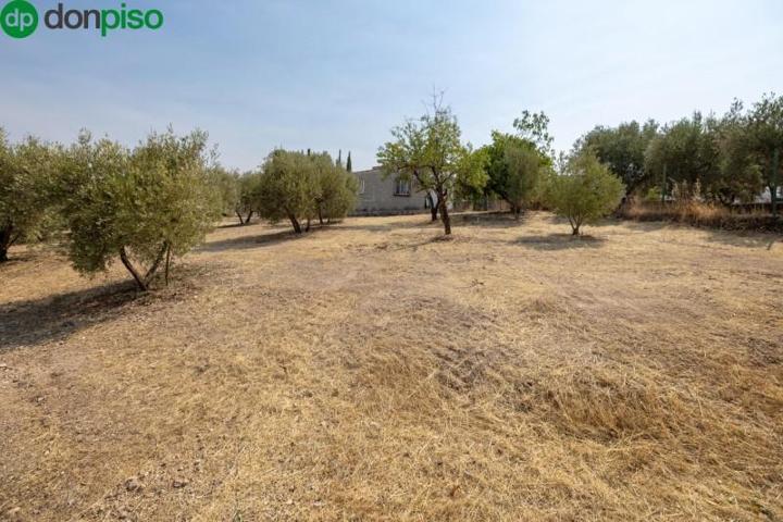 Chalet en venta en Moraleda de Zafayona, LOS TABLAZOS photo 0