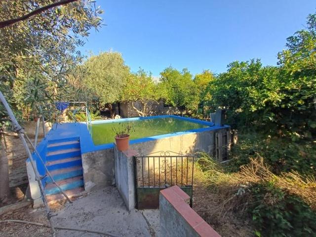Casa con terreno en venta en Jerez de la Frontera, Pedanías este photo 0
