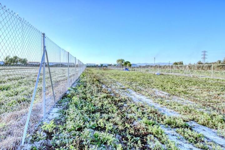 Terreno en venta en San Fulgencio, San fulgencio pueblo photo 0