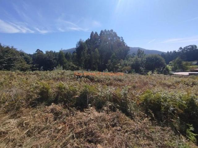 Terreno en venta en Pazos de Borbén, Nespereira photo 0