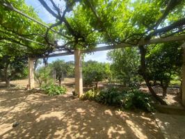 Casa con terreno en venta en Masalavés photo 0