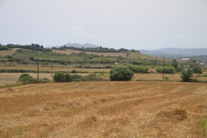 Chalet en venta en Petra, Afueras del pueblo photo 0