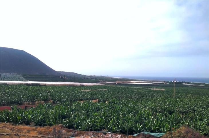 Casa con terreno en venta en Los Silos photo 0