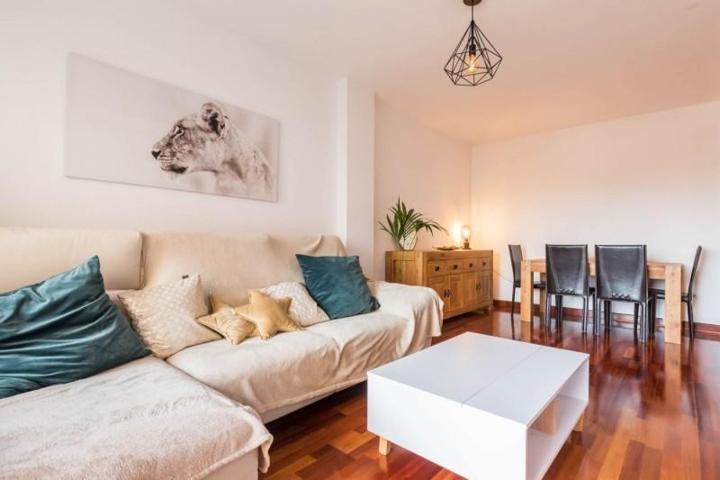 Piso en alquiler en Murcia, Santo Ángel photo 0