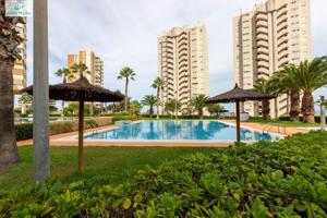 Apartamento en alquiler en El Campello, Alicante photo 0