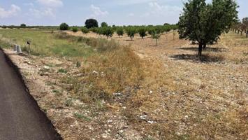 Terreno en venta en Mahora, Castilla la mancha photo 0