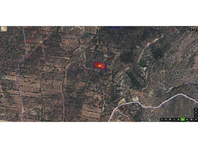 Terreno en venta en El Vellón, El Vellón photo 0