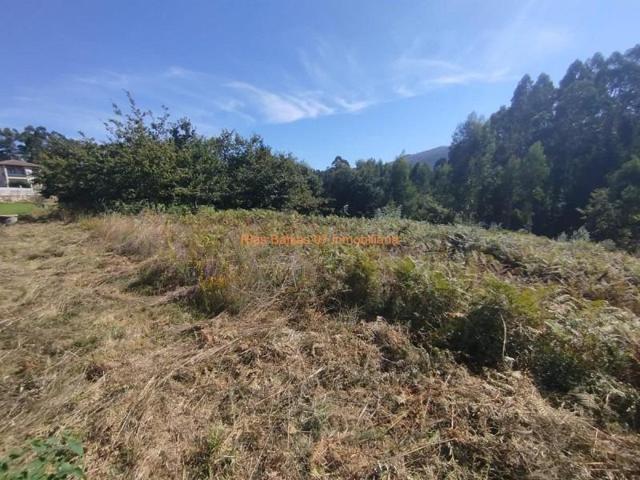 Terreno en venta en Pazos de Borbén, Nespereira photo 0
