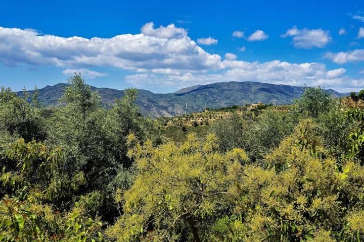 Casa con terreno en venta en Lanjarón, Lanjarón photo 0