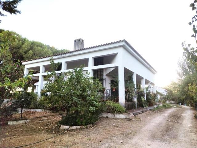 Casa con terreno en venta en Beas, Andalucia photo 0
