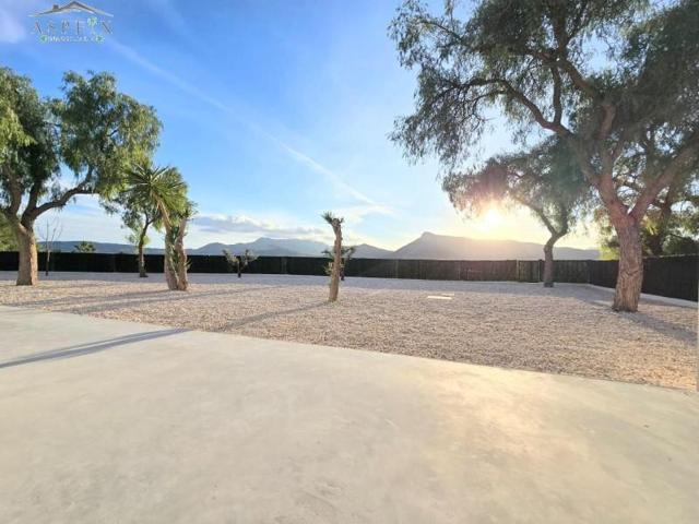 Chalet en venta en Aspe, Alcana photo 0